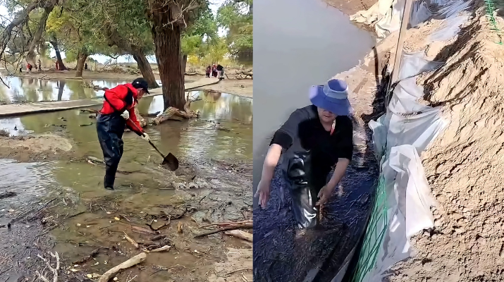 202410171729125438522922.png 圖片24_副本.png